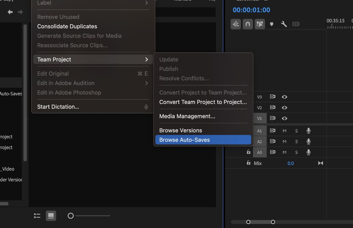 A screenshot that shows the Edit menu with the option to view and browse through auto-saved versions.
