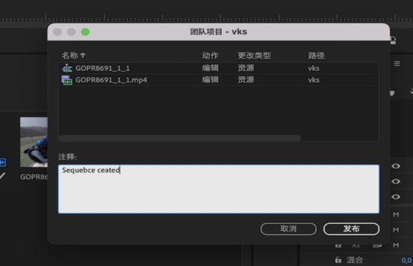 在发布期间为协者添加评论。