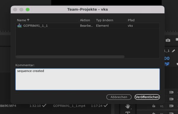 Hinzufügen eines Kommentars für die Mitarbeitenden während der Veröffentlichung.