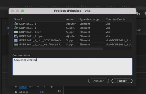Ajout d’un commentaire pour les collaborateurs et collaboratrices pendant la publication.