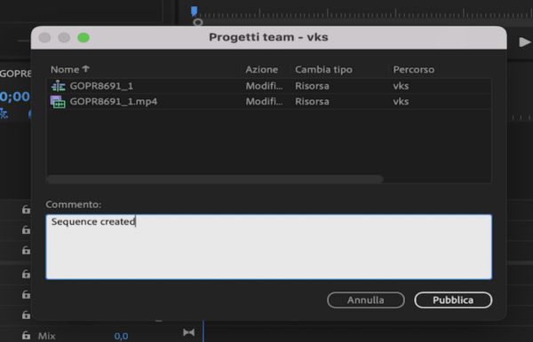 Aggiunta di un commento per i collaboratori durante la pubblicazione.