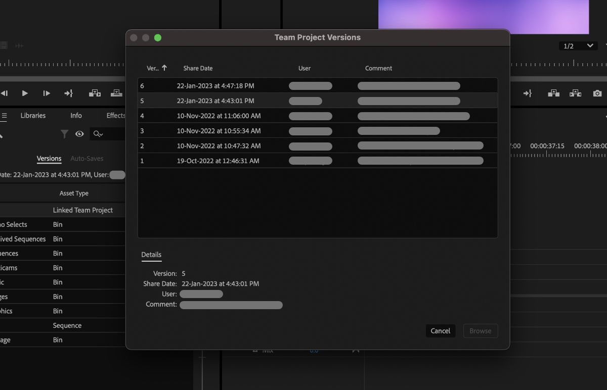 A screenshot that shows the Team Project Versions option in the Media Browser panel.