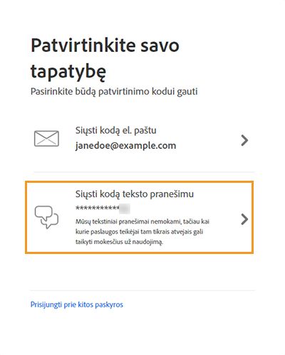 Tapatybės patvirtinimo ekranas