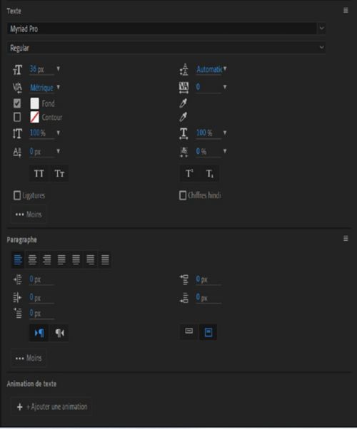 Options de texte, de paragraphe et d’animation de texte dans le panneau Propriétés.
