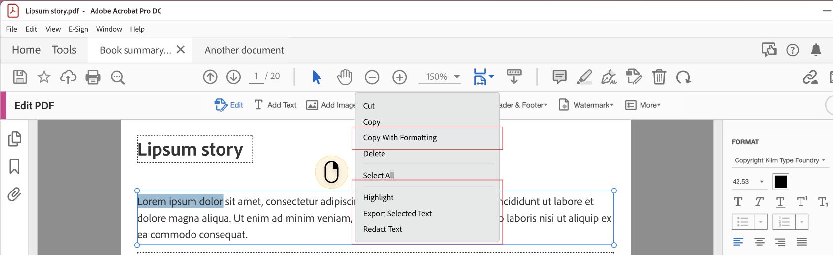 Context menu options for text selection
