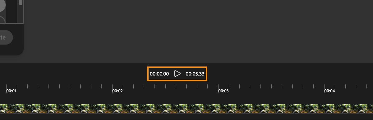 The video is added to the timeline and there is an option to preview the added video.