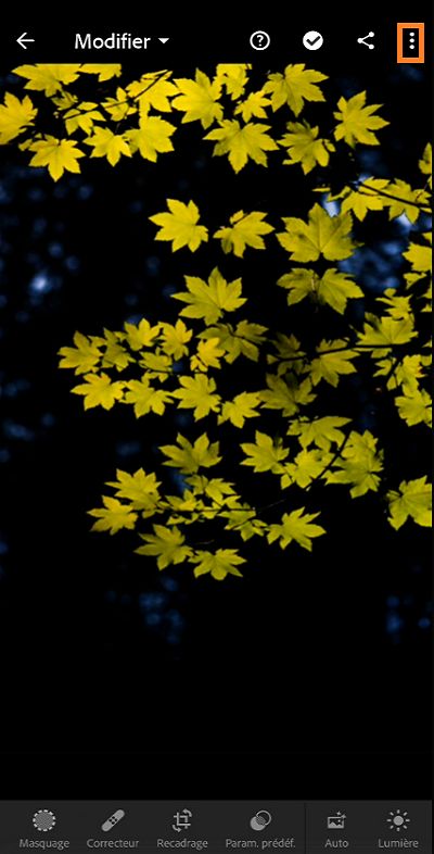 importer-paramètres-prédéfinis