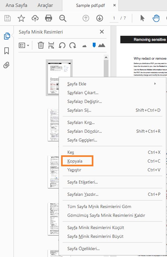 Sayfayı sağ tıklatın ve kopyalayın