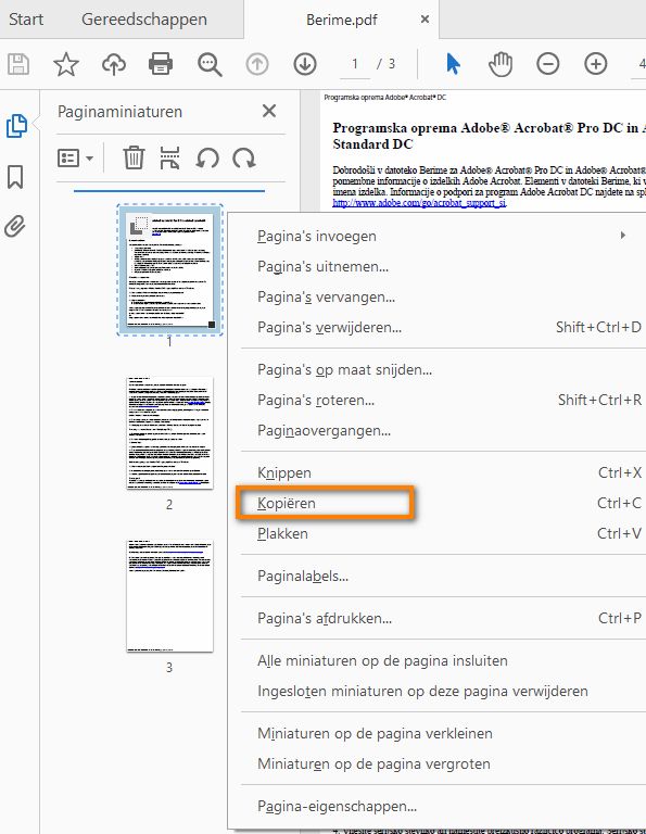 Met de rechtermuisknop klikken en de pagina kopiëren
