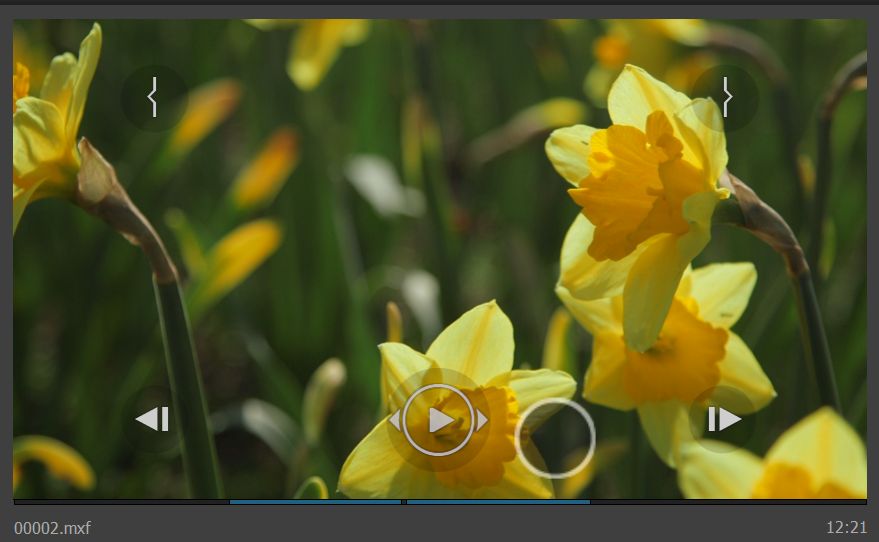 Une vignette de vidéo avec des fleurs jaunes comprenant des commandes de lecture tactiles superposées, notamment des options de lecture, de défilement et de marquage.