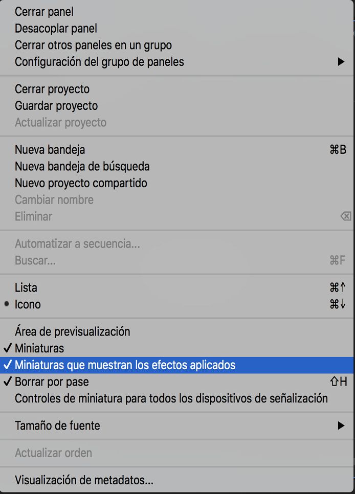 Efectos en miniaturas