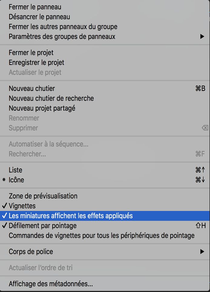 Effets dans les vignettes