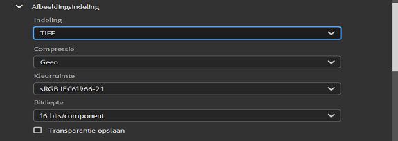 Selecteer de afbeeldingsindeling TIFF.