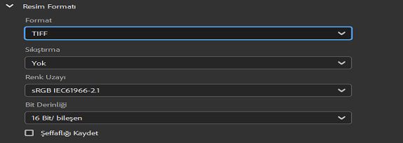 TIFF görüntü formatını seçin.