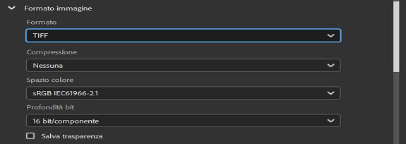 Selezionate il formato immagine TIFF.
