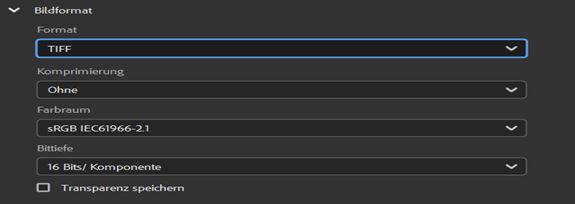 Wähle das TIFF-Bildformat aus.