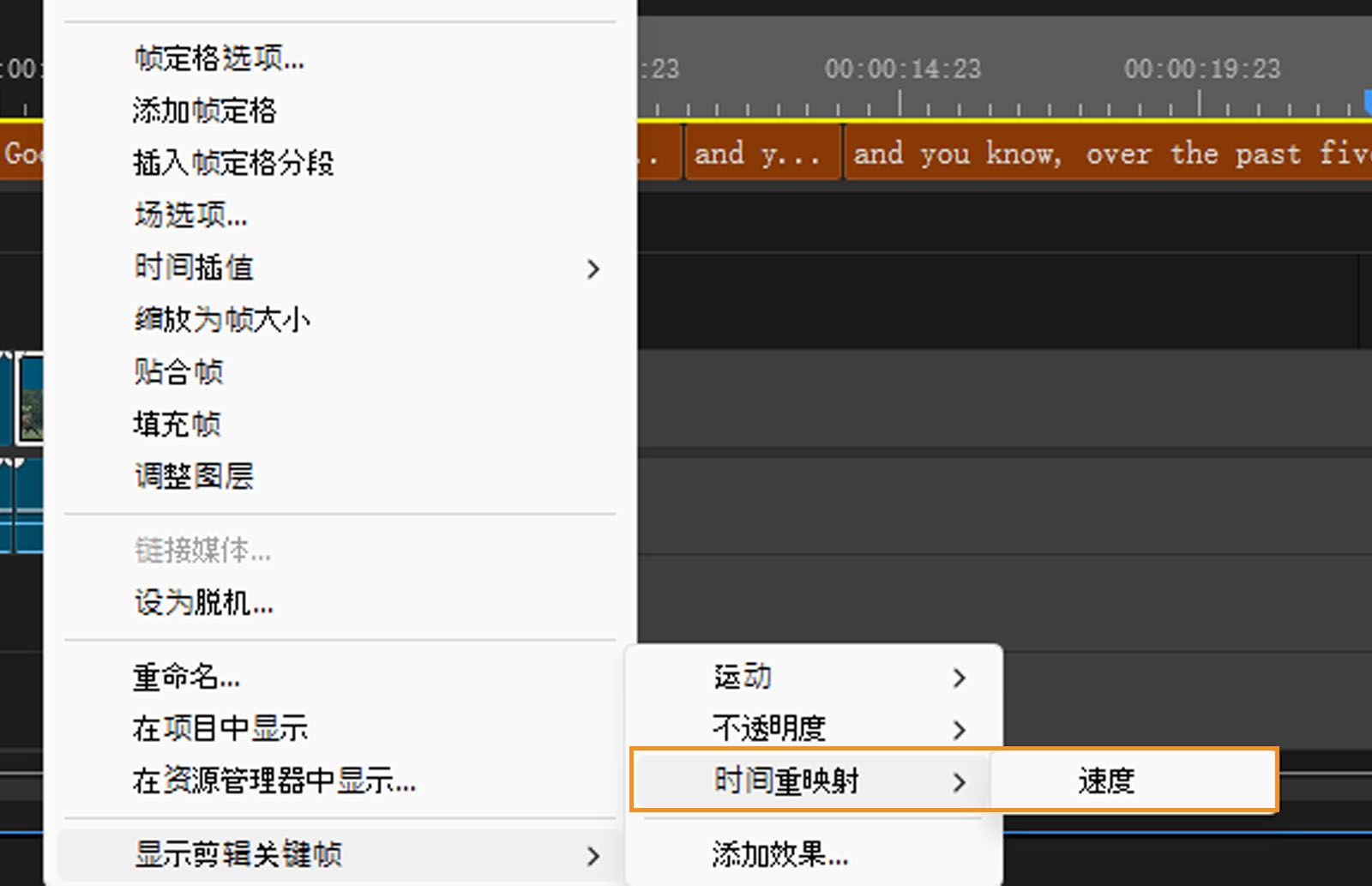 时间重映射和速度选项突出显示。选择“速度”来更改视频剪辑的速度。 