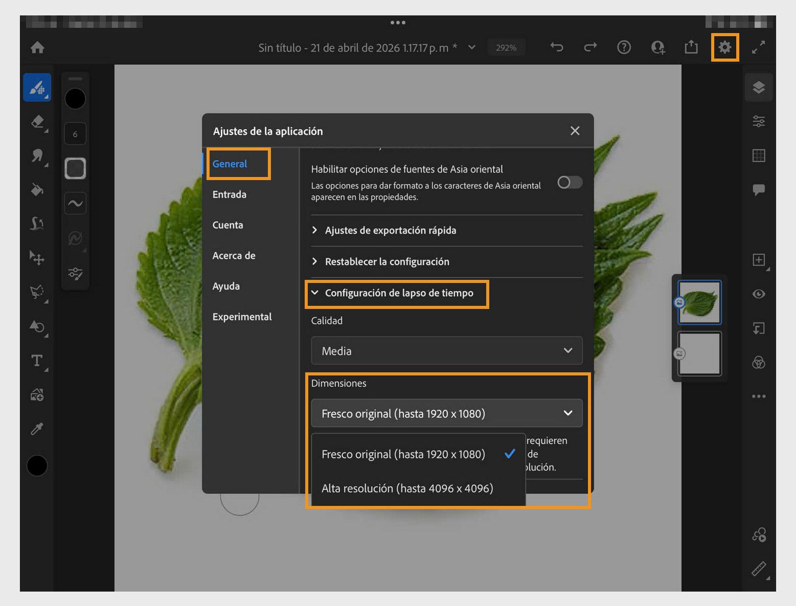 Configuración de aplicación abierta en configuración de Timelapse, mostrando opciones de calidad y opciones de dimension hasta alta resolución