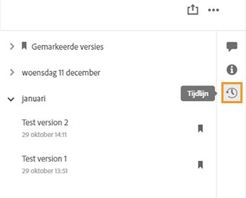 Eerdere versies van je bestanden bekijken