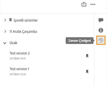 Dosyalarınızın önceki sürümlerini görüntüleme