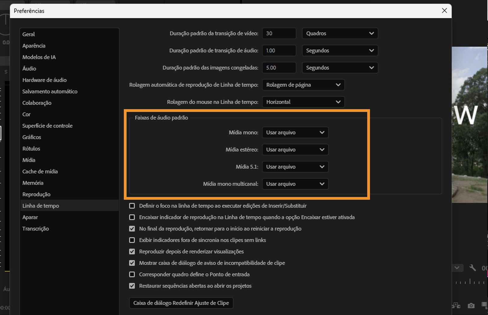 A imagem mostra a caixa de diálogo Preferências da Linha do tempo, indicando a seção na qual você pode escolher o formato da mídia.
