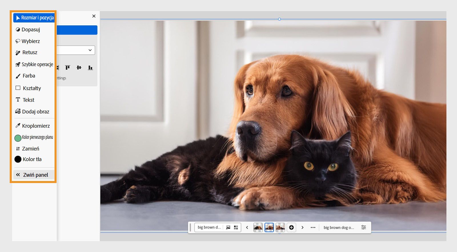 Pasek narzędzi programu Photoshop w Internecie widoczny z lewej strony ekranu z narzędziami Rozmiar i położenie, Dopasowania, Zaznaczanie itd.