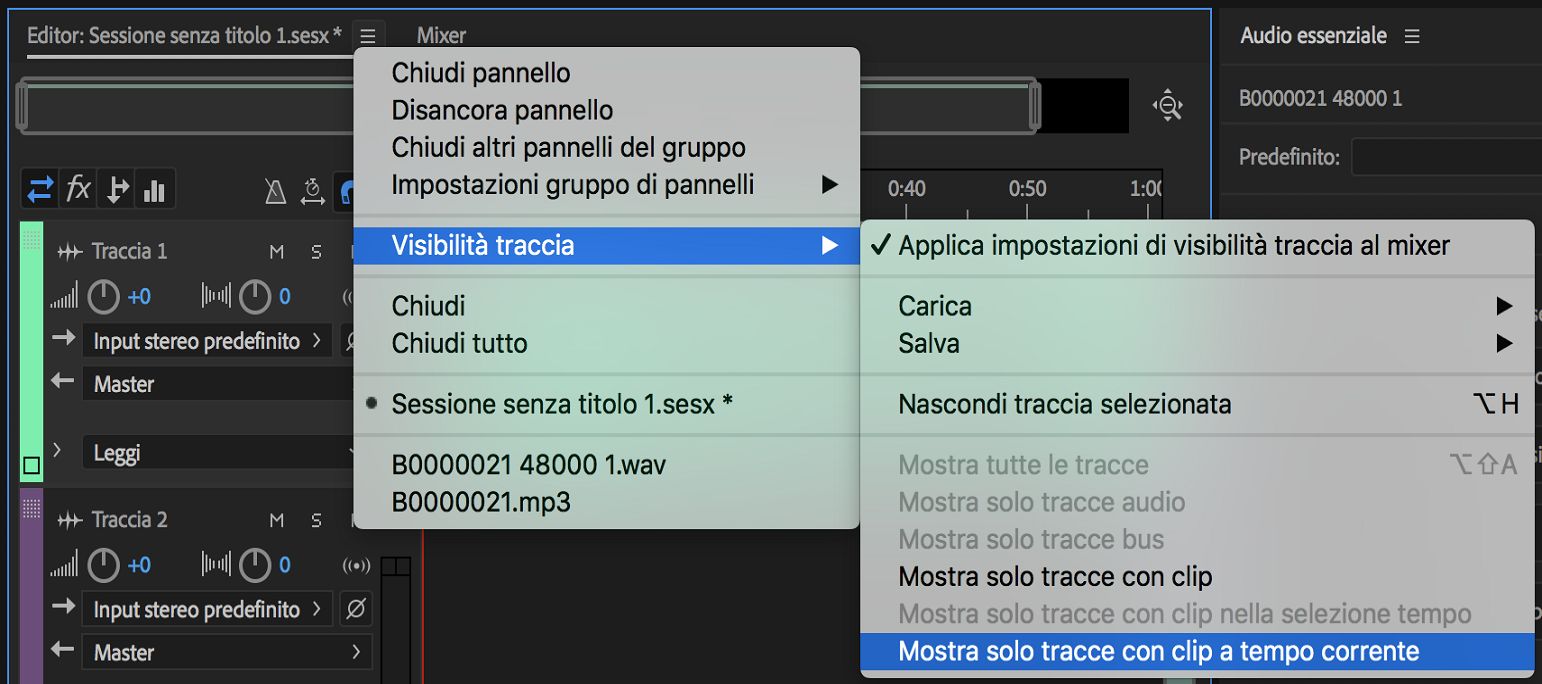 Opzioni di visibilità Traccia