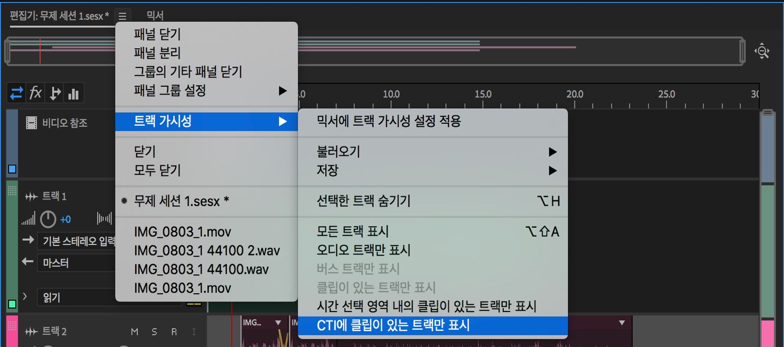 트랙 표시 상태 옵션