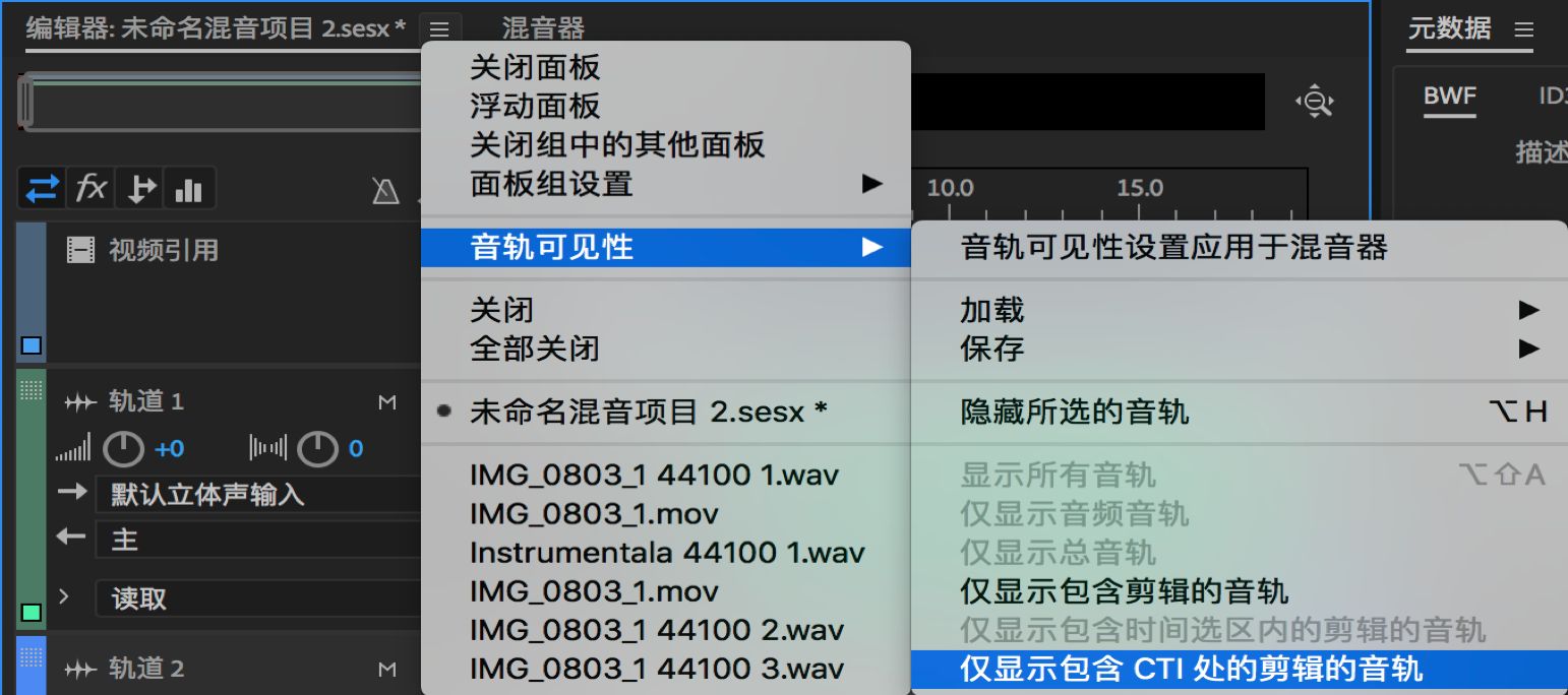 “轨道可见性”选项