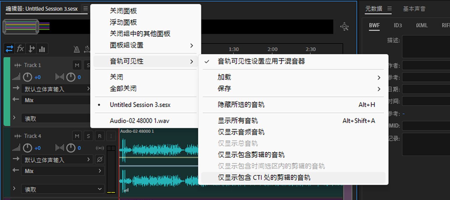 “轨道可见性”选项