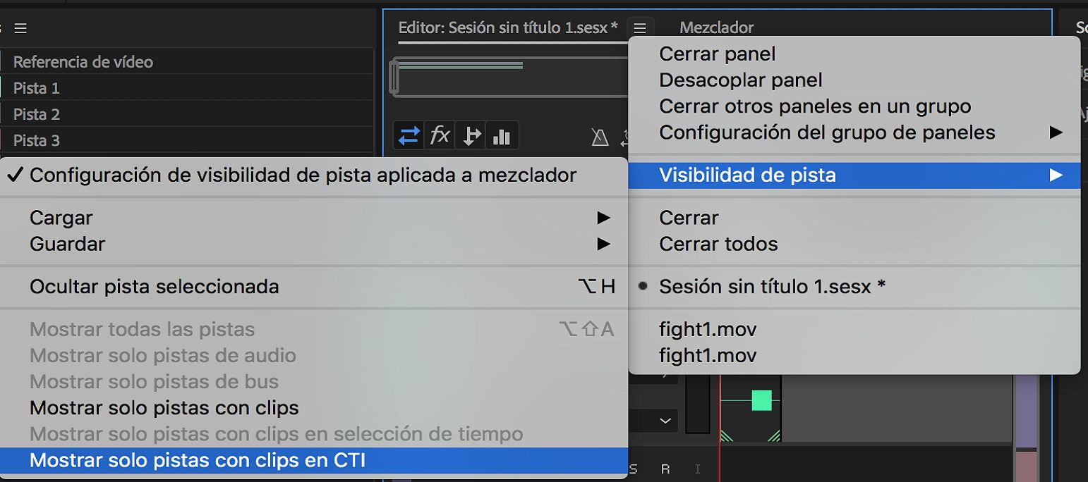 Opciones de visibilidad de pista