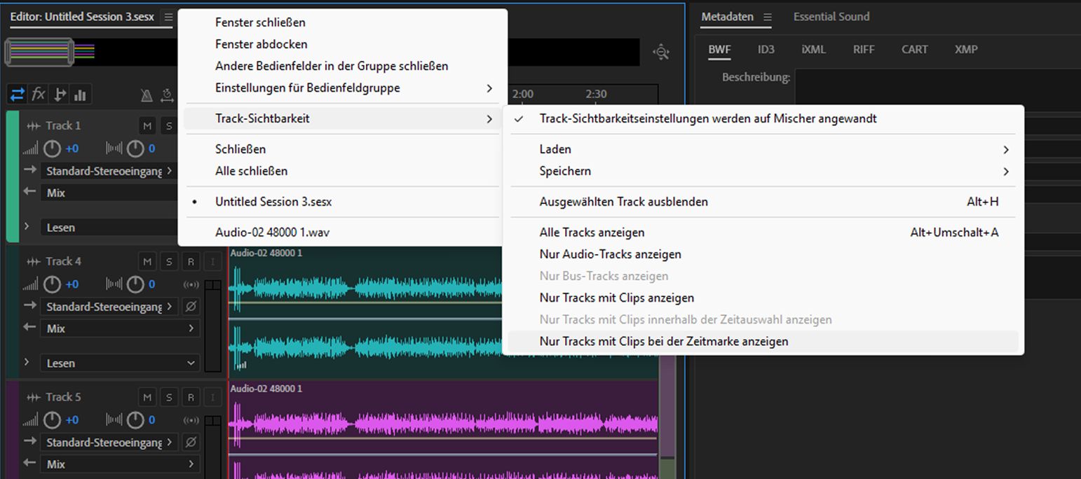 Sichtbarkeitsoptionen für Tracks