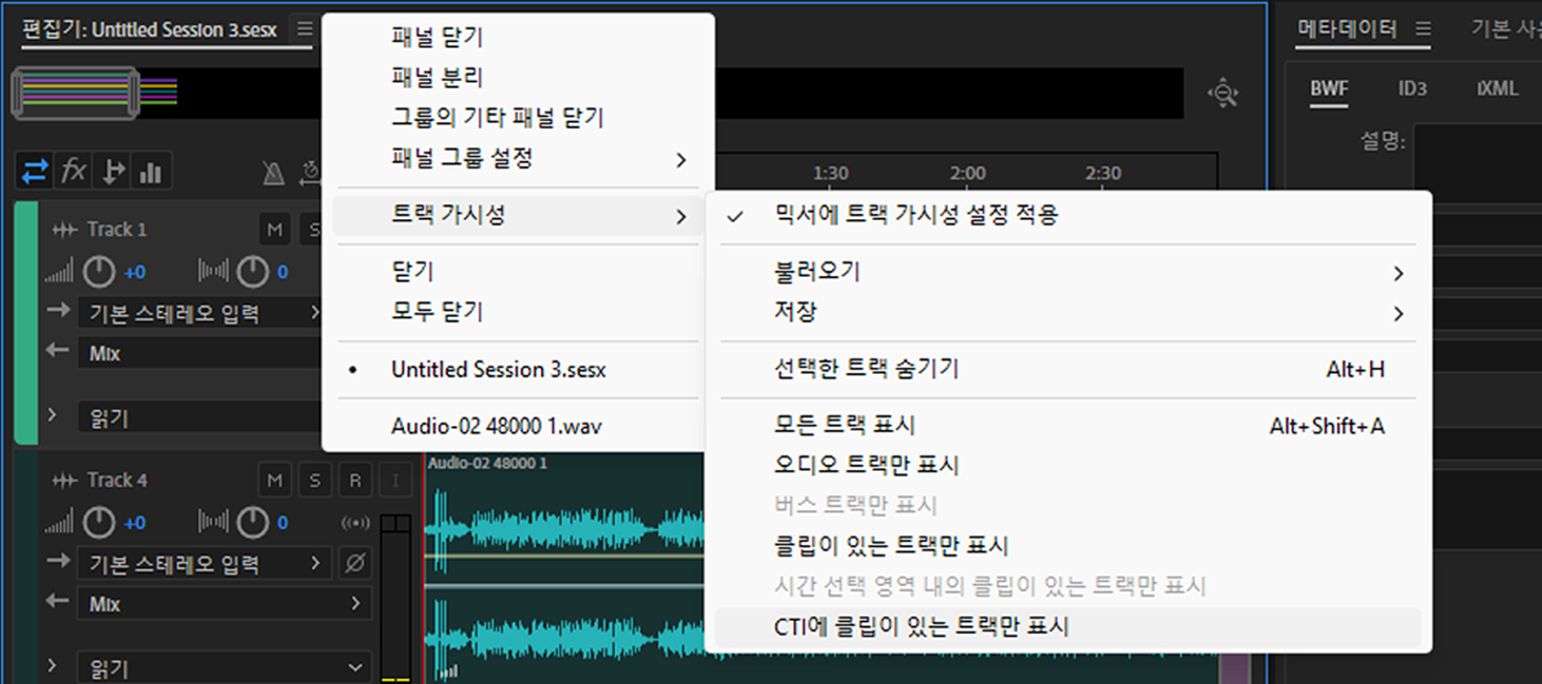 트랙 표시 상태 옵션
