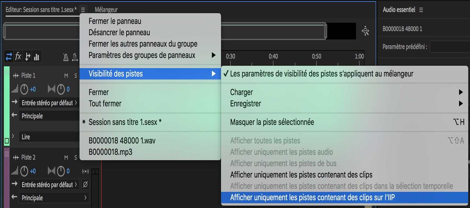 Options de visibilité des pistes
