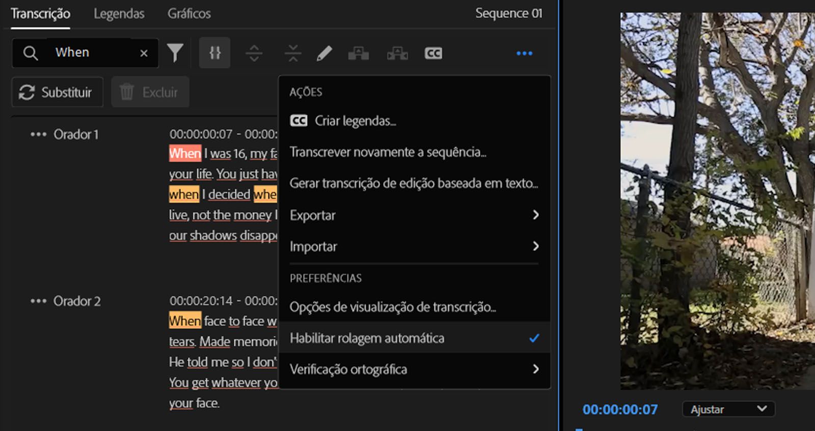 A seção de transcrição apresenta diferentes ações e preferências disponíveis após a transcrição de um vídeo.