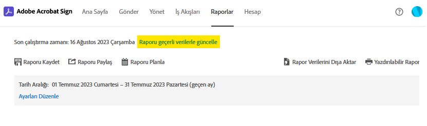 Rapor sayfası seçeneği - Raporu Geçerli Verilerle Güncelle