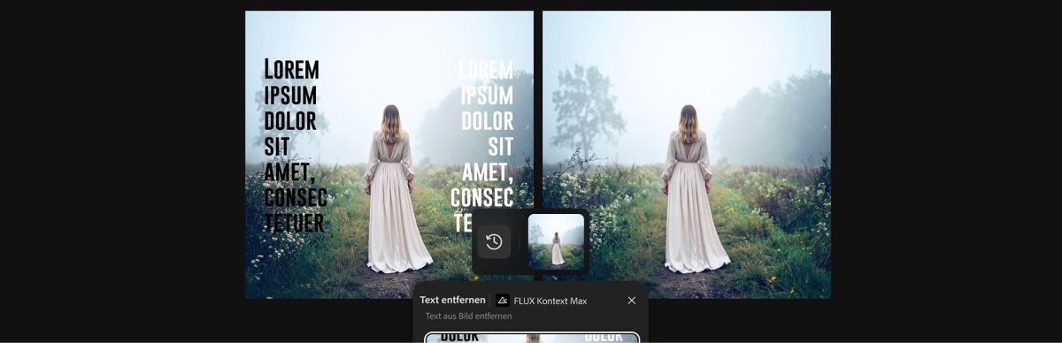 Mit der Voreinstellung „Text entfernen mit FLUX Kontext Max“ generiertes Bild.