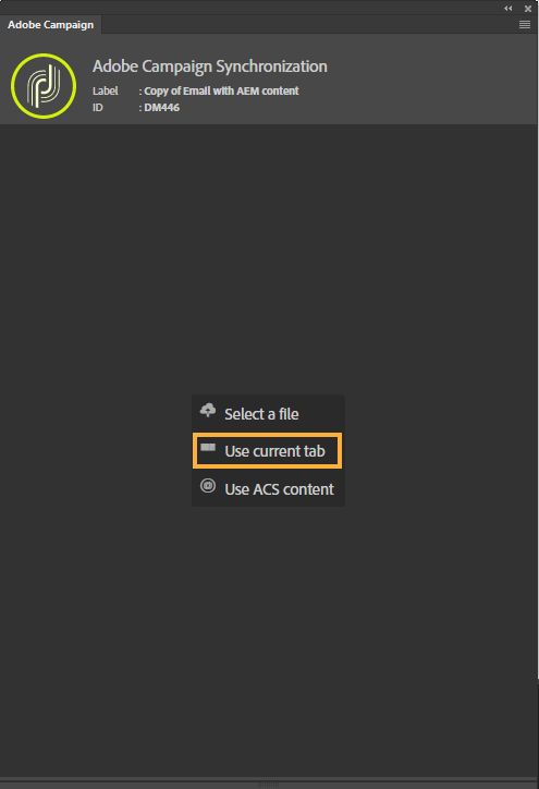 打开营销活动之前的 Adobe Campaign 扩展面板