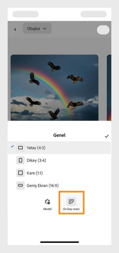  En-Boy Oranı açılır menüsü açılır ve çeşitli seçenekler sunar. Şu anda web sitesi afişleri gibi kullanımlar için ideal görüntü çeşitlemeleri oluşturmak üzere Yatay seçeneği seçilidir.