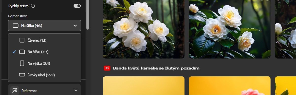 Otevře se rozbalovací nabídka poměrů stran, která nabízí více možností. Aktuálně je pro generování variací obrázku vybrána možnost Krajina, která je ideální pro použití ve webových bannerech.