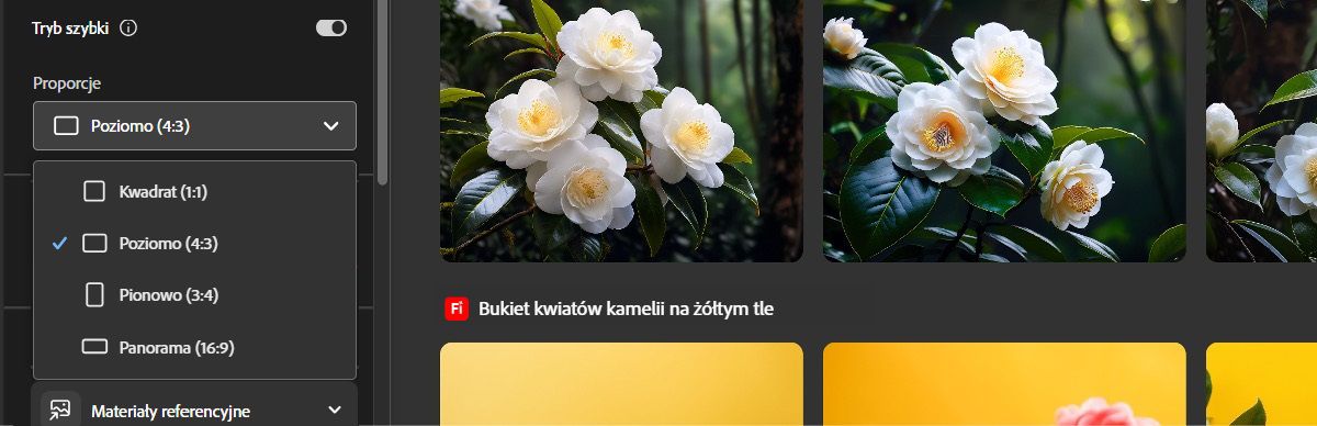 Otwarte zostanie menu rozwijane Proporcje obrazu, w którym dostępnych jest kilka opcji. Opcja Poziomo jest obecnie wybrana w celu tworzenia wariantów obrazów idealnych do zastosowań takich jak banery na stronę internetową.