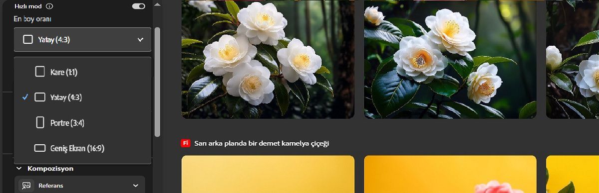 En-Boy Oranı açılır menüsü açılır ve çeşitli seçenekler sunar. Şu anda web sitesi afişleri gibi kullanımlar için ideal görüntü çeşitlemeleri oluşturmak üzere Yatay seçeneği seçilidir.