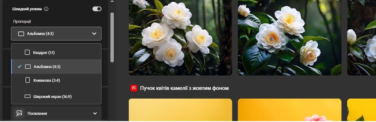 Відкрито розкривне меню «Співвідношення сторін», в якому представлено кілька варіантів. Зараз вибрано параметр «Альбомна орієнтація» для створення варіантів зображень, які ідеально підходять для використання, наприклад як банерів на вебсайтах.