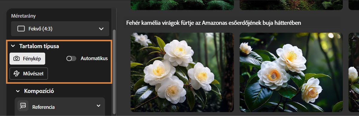 A Tartalomtípus szakaszban a Fotó és a Grafika lehetőségek közül választhat. A Fotó opciót választva a Firefly fotórealisztikus képváltozatokat generál.