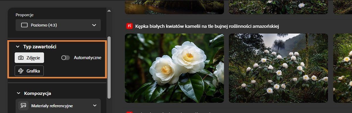 W sekcji Typ zawartości możesz wybrać opcje Zdjęcie i Grafika. Opcja Zdjęcie jest wybrana, aby Firefly generował fotorealistyczne warianty obrazów.
