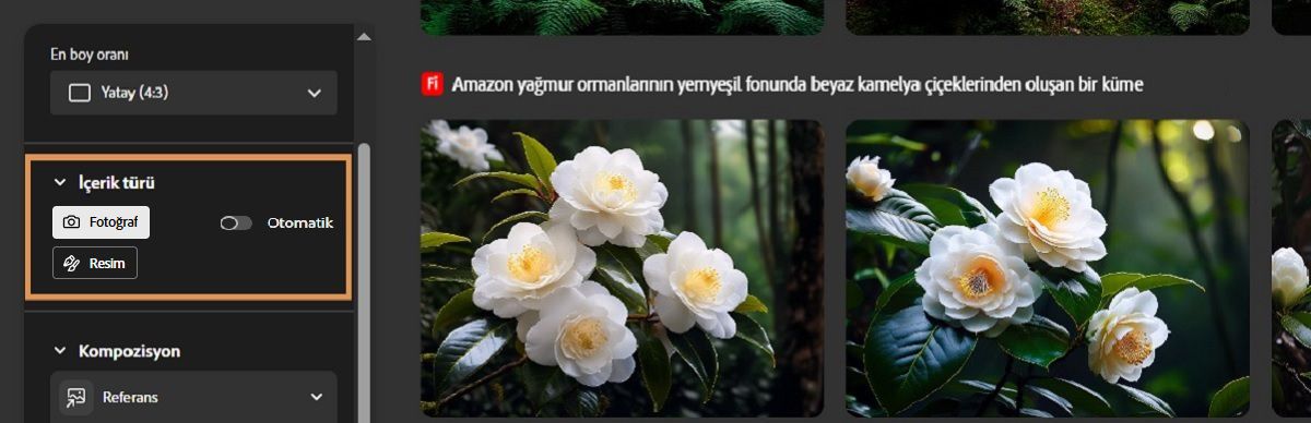 İçerik Türü bölümünde Fotoğraf ve Resim seçenekleri arasından seçim yapabilirsiniz. Firefly'ın fotoğraf gerçekliğinde görüntü çeşitlemeleri oluşturması için Fotoğraf seçeneği seçilir.