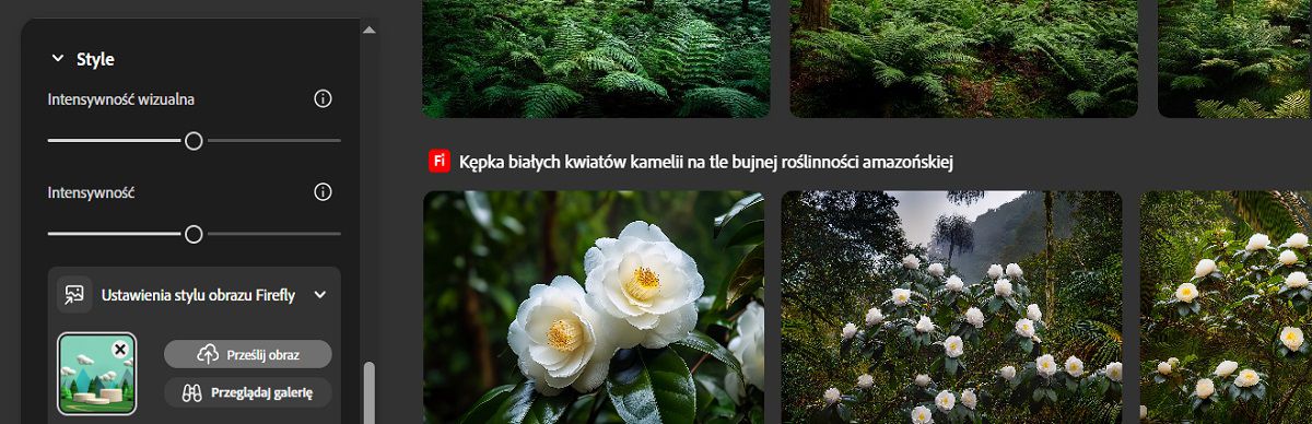 W sekcji Styl dodawany jest obraz referencyjny, a suwaki Intensywność i Intensywność wizualna są dostosowywane, aby zapewnić zgodność wygenerowanych zmian ze stylem referencyjnym.