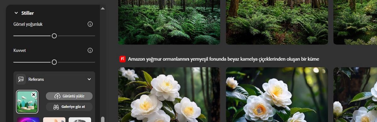 Stil bölümünde bir referans görüntü eklenir ve oluşturulan çeşitlemelerin stil referansına bağlı kalmasını sağlamak için Kuvvet ve Görsel Yoğunluk kaydırıcıları ayarlanır.