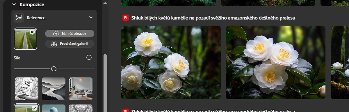 V nabídce Reference je v části Kompozice přidán obrázek pro referenci a posuvník Síla je upraven tak, aby ve vygenerovaných variacích specifikoval intenzitu obrysu a návaznost hloubky.