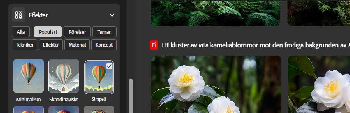 Under avsnittet Effekter finns flera effektkategorier och effekter att välja mellan.För närvarande är effekten Bokeh vald för bildgenereringen.